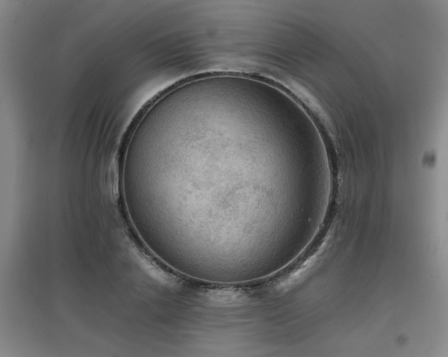 X0000097660838200802291424