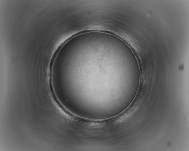 X0000097660839200802291424