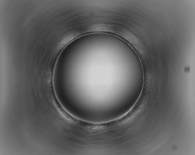 X0000097660841200802291425