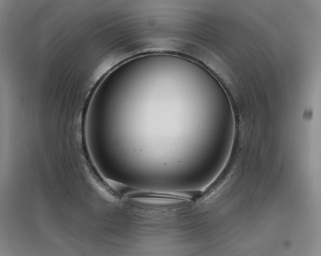 X0000097660842200802291425