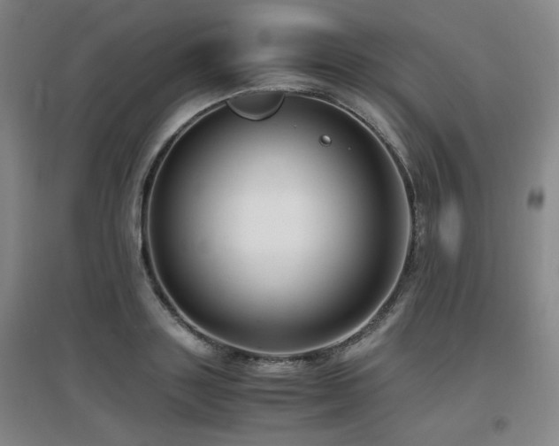 X0000097660843200802291425