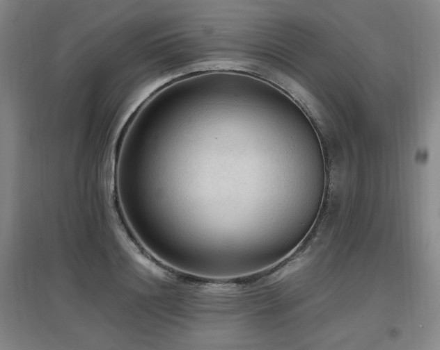 X0000097660844200802291425