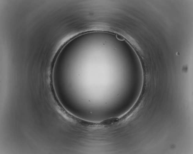 X0000097660846200802291425