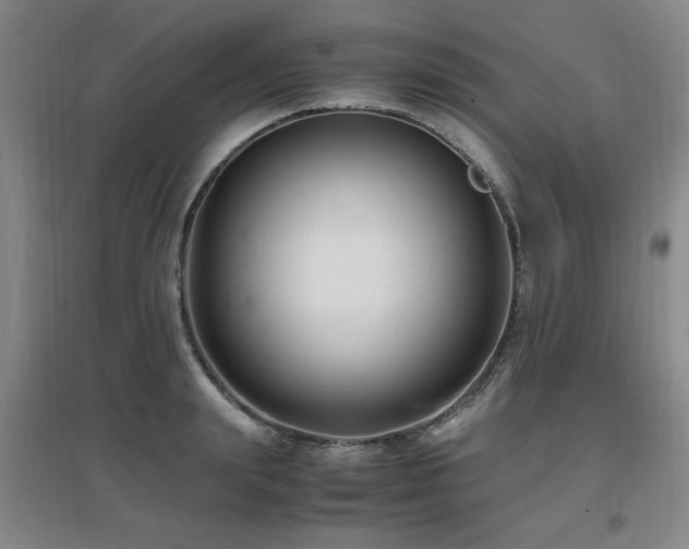 X0000097660847200802291425