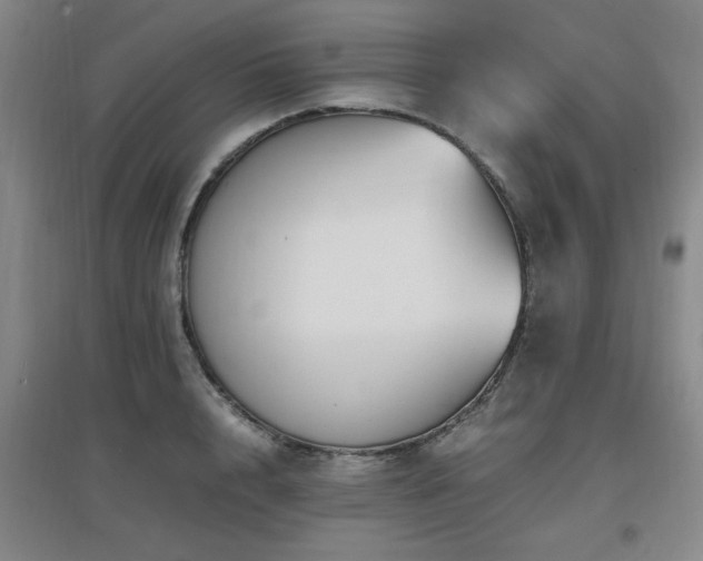 X0000097660848200802291425