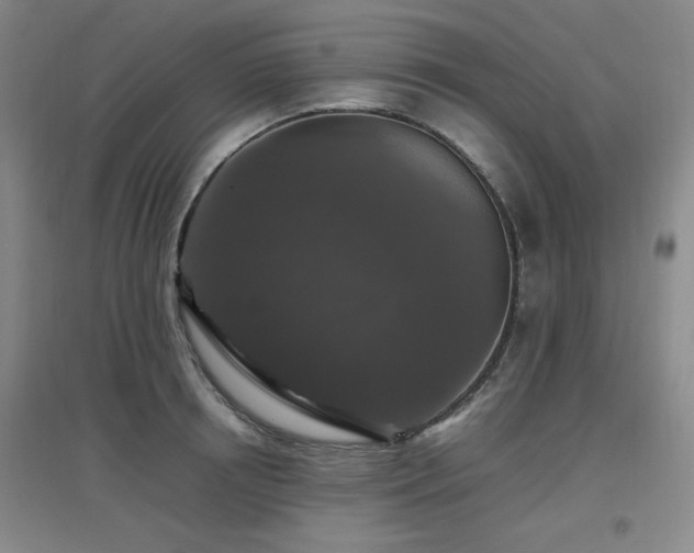 X0000097660850200802291425