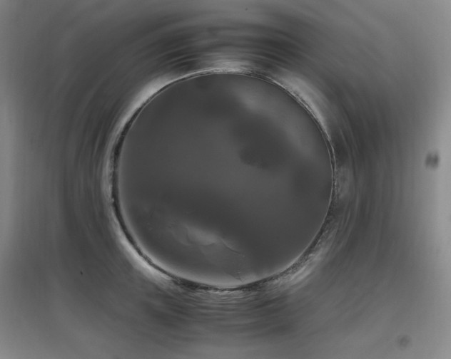 X0000097660851200802291425
