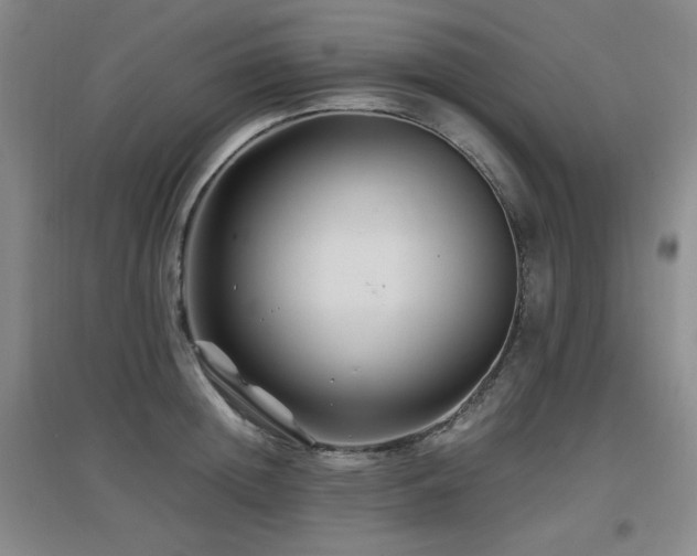 X0000097660852200802291425