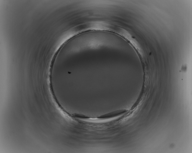 X0000097660853200802291425
