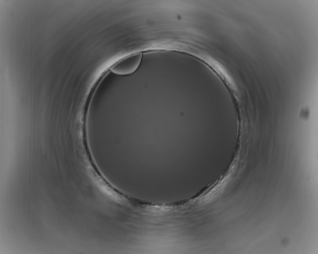 X0000097660854200802291425