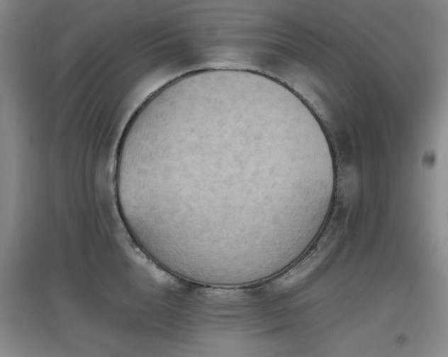 X0000097660856200802291425