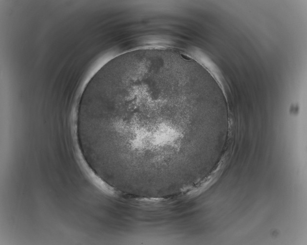 X0000097660859200802291425