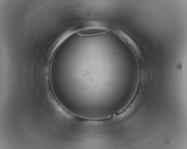 X0000097660860200802291425