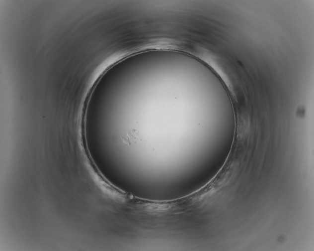 X0000097660861200802291425