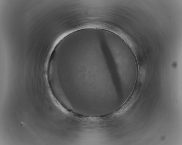 X0000097660862200802291425