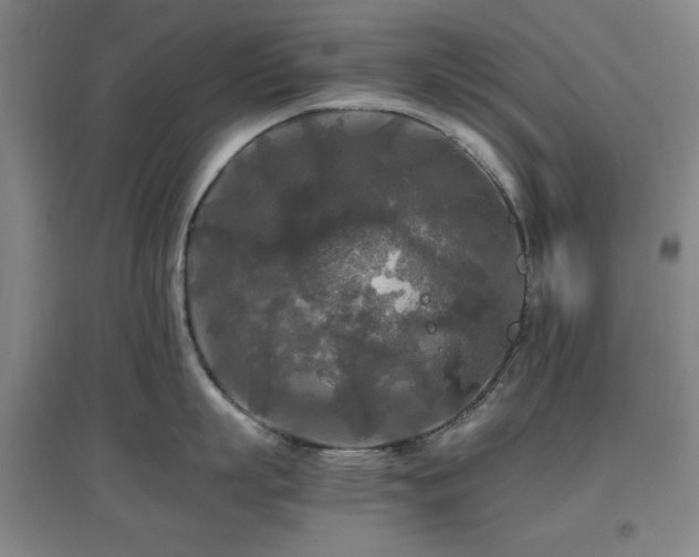 X0000097660863200802291425