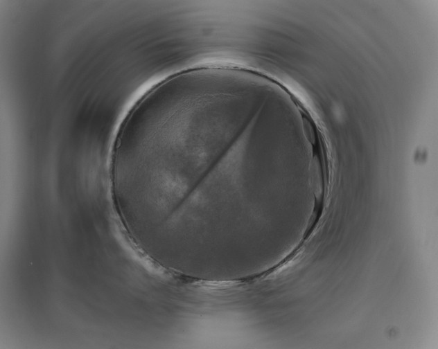 X0000097660864200802291425