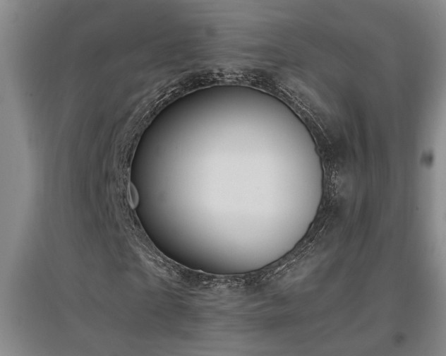 X0000097660865200802291424