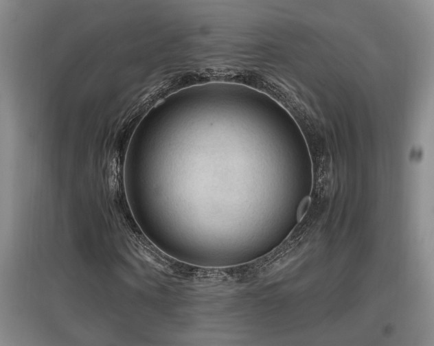 X0000097660866200802291424