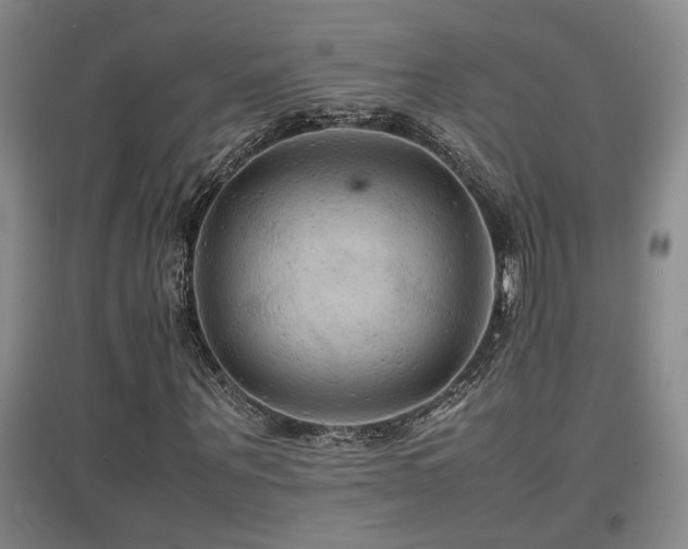 X0000097660867200802291424