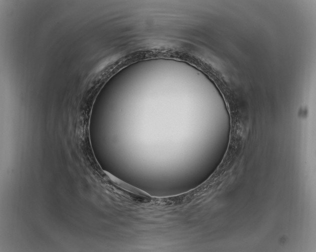 X0000097660869200802291424