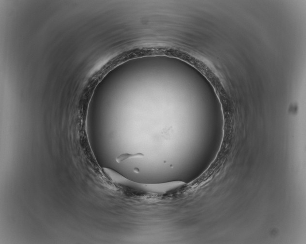 X0000097660871200802291424