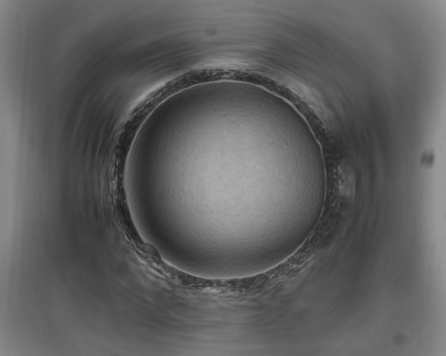 X0000097660872200802291424
