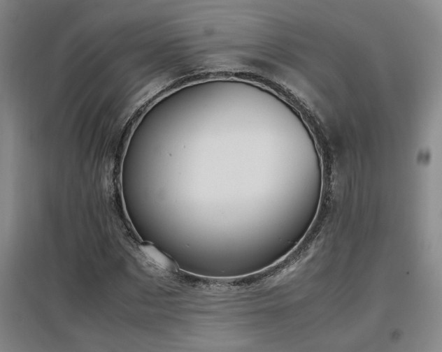 X0000097660873200802291424