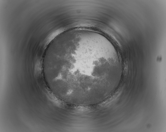 X0000097660874200802291424
