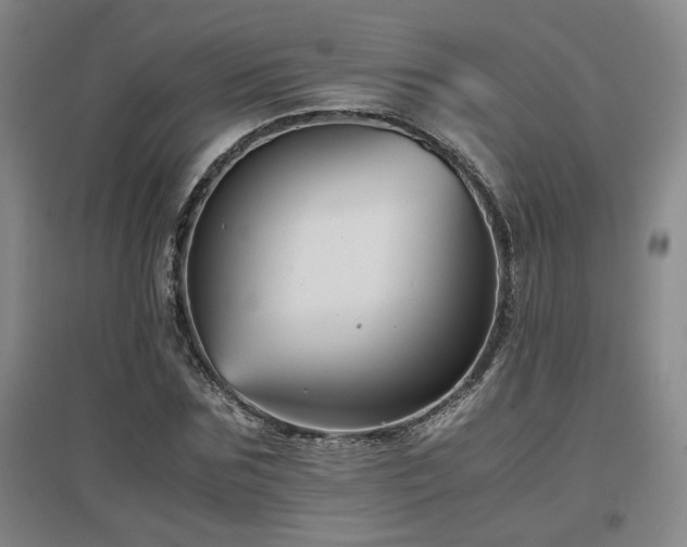 X0000097660875200802291424