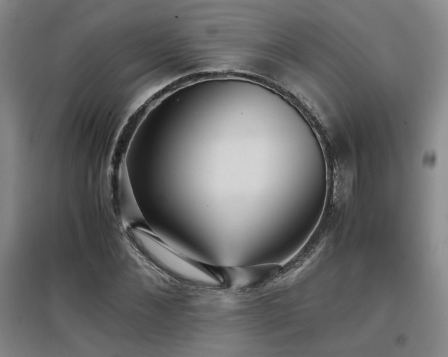 X0000097660876200802291424
