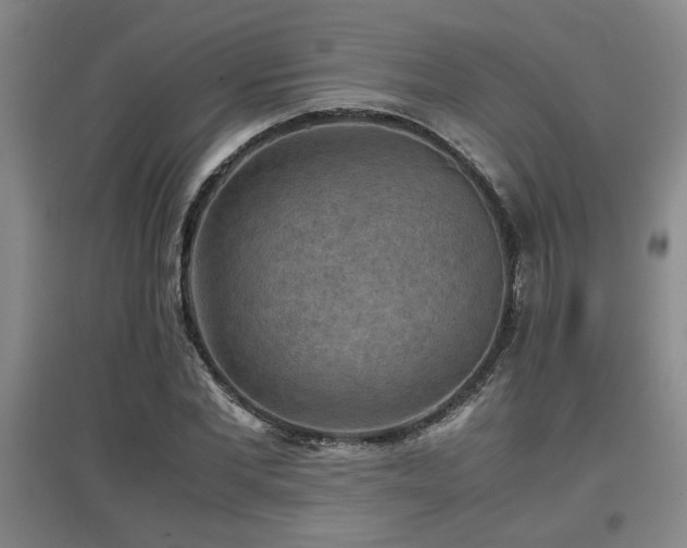 X0000097660877200802291424