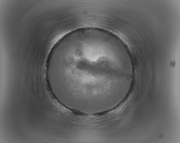 X0000097660879200802291424