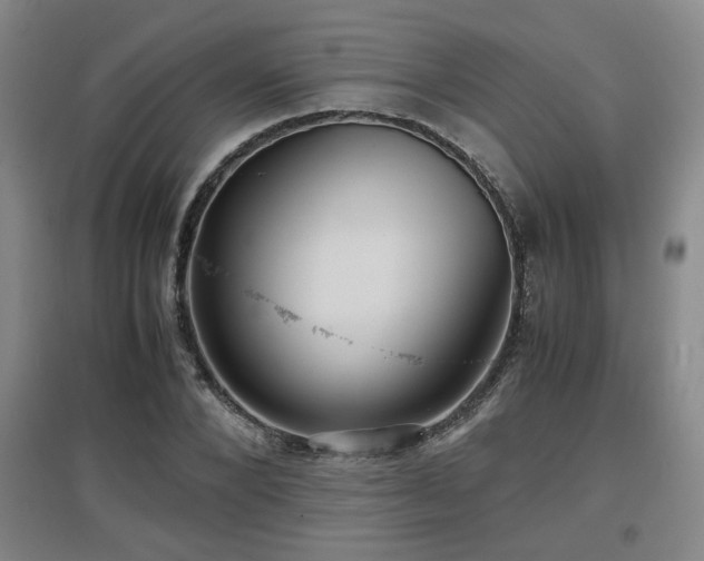 X0000097660880200802291424