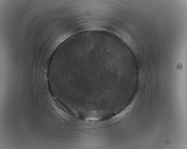 X0000097660881200802291424