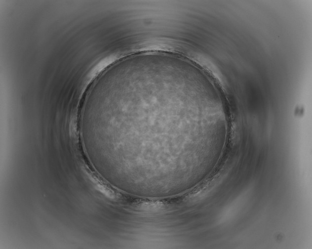 X0000097660882200802291424