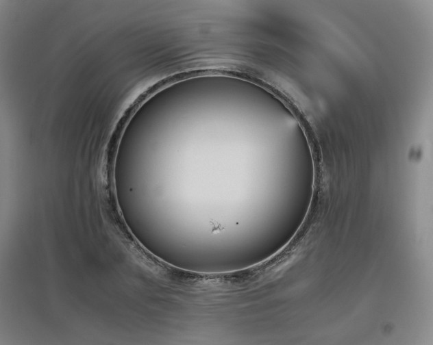 X0000097660883200802291424