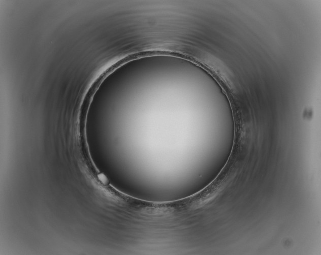 X0000097660884200802291424