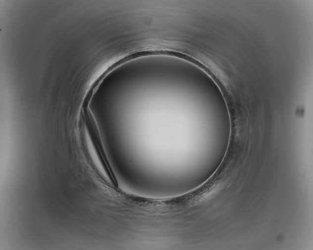 X0000097660885200802291424