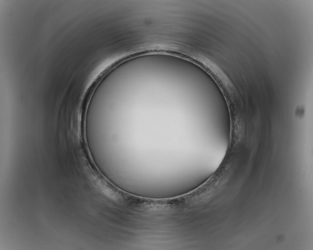 X0000097660886200802291424