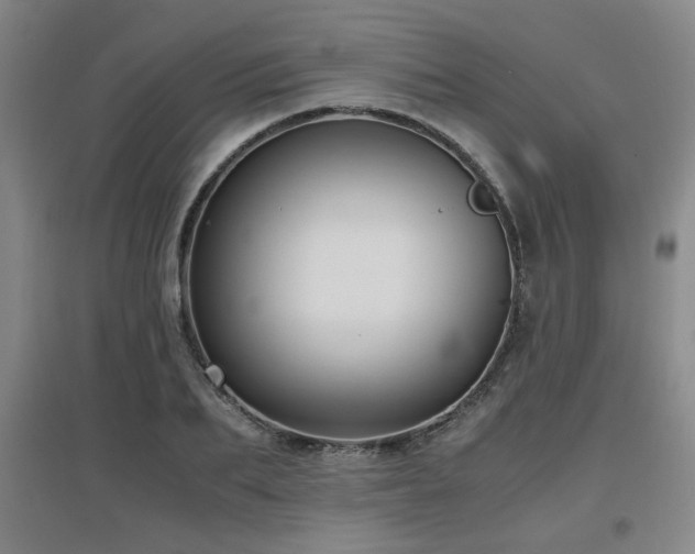 X0000097660887200802291424