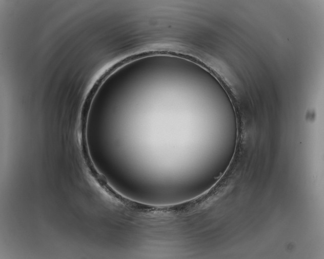 X0000097660888200802291424