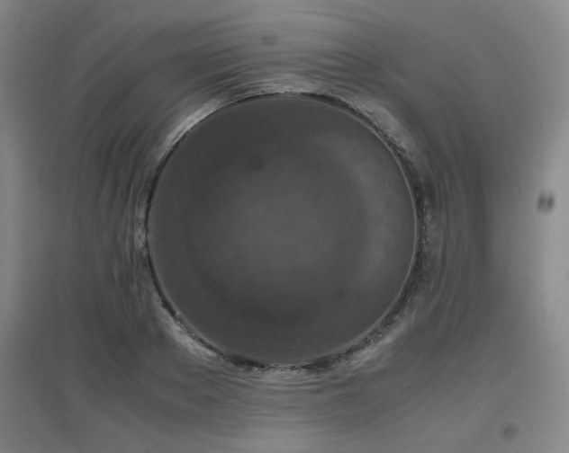 X0000097660889200802291424