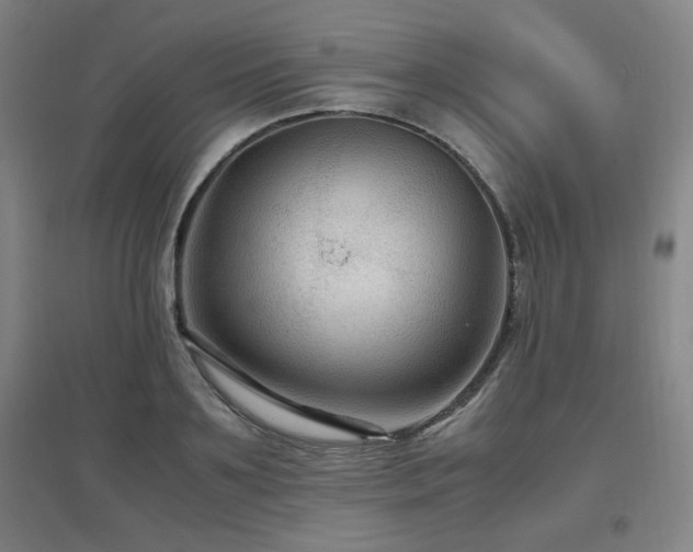 X0000097660891200802291424