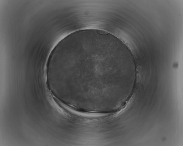 X0000097660892200802291424