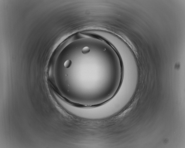 X0000097660893200802291424