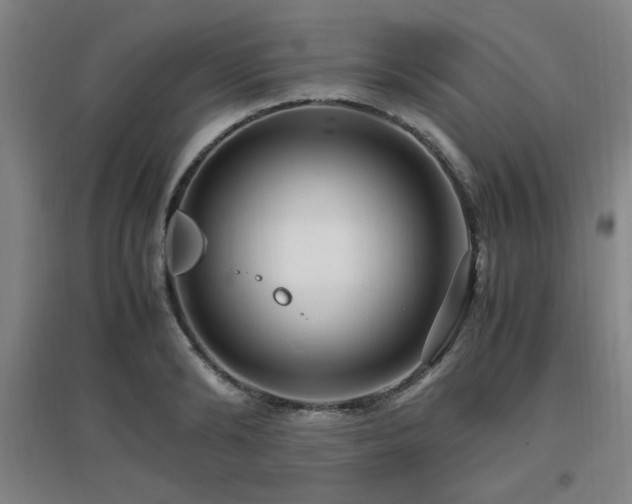 X0000097660894200802291424