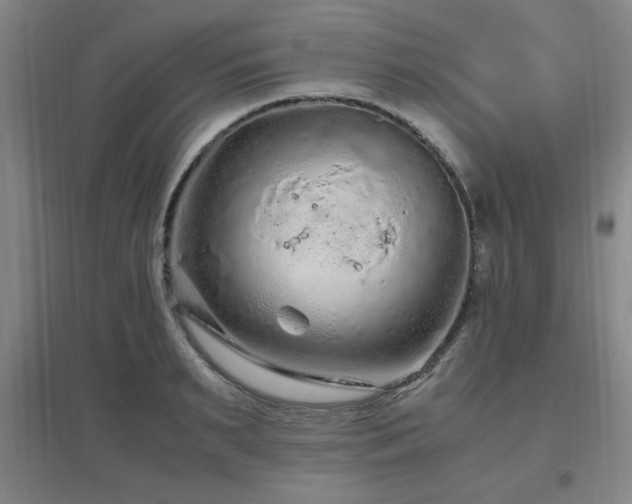 X0000097660895200802291424