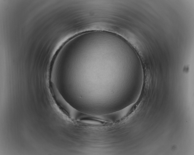 X0000097660896200802291424