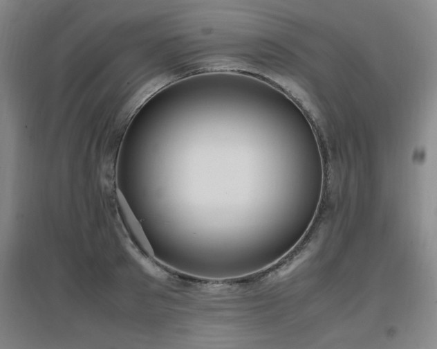 X0000097660897200802291424